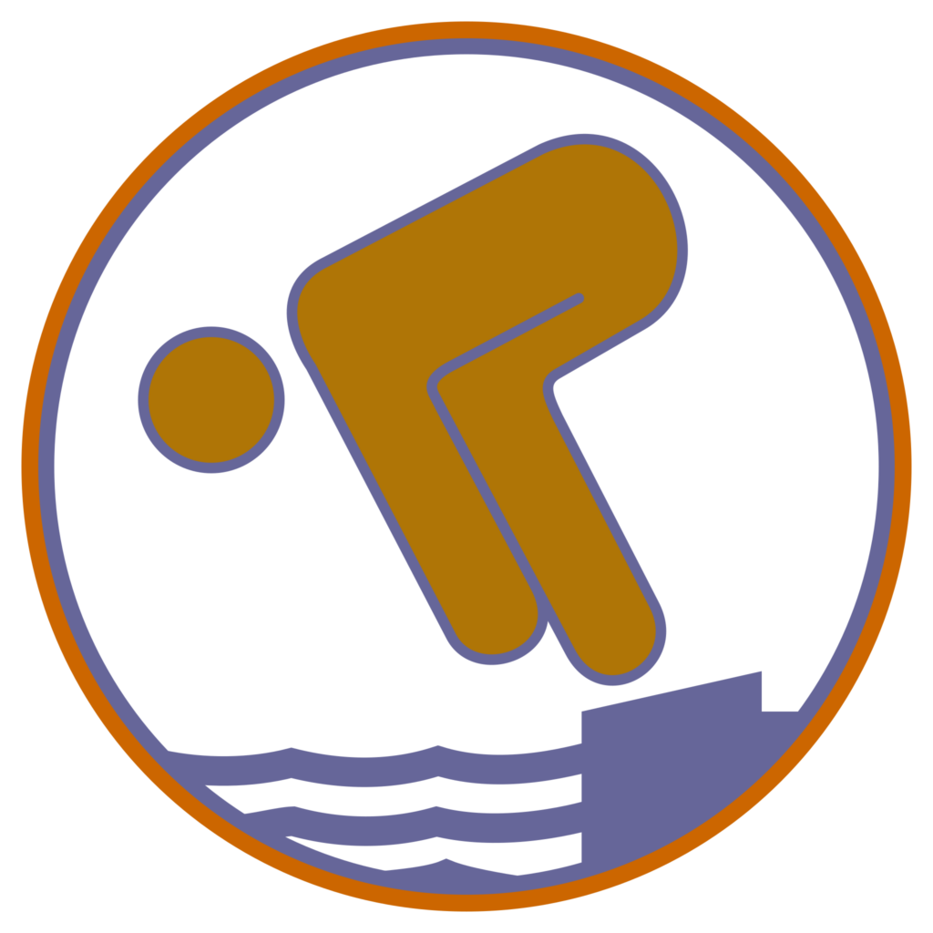 Deutsches Schwimmabzeichen Bronze
